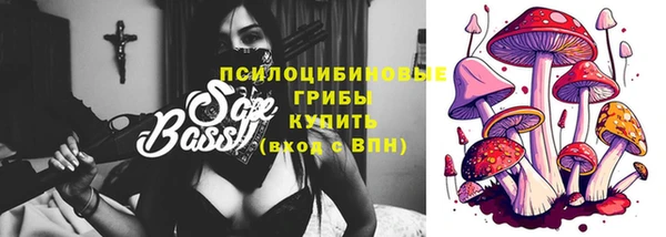 дживик Алексеевка