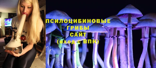 не бодяженный Алексин