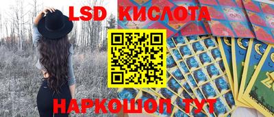 мяу мяу мука Кингисепп