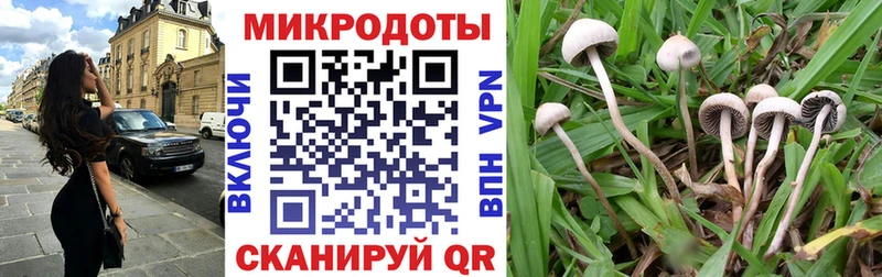 Псилоцибиновые грибы ЛСД  Владимир 