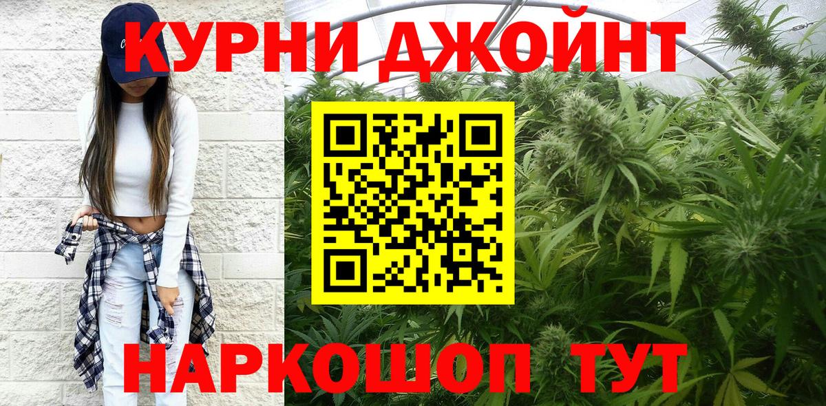 Конопля марихуана Владимир